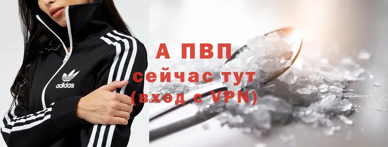 Alfa_PVP СК  Абаза 