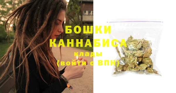 бошки Осинники