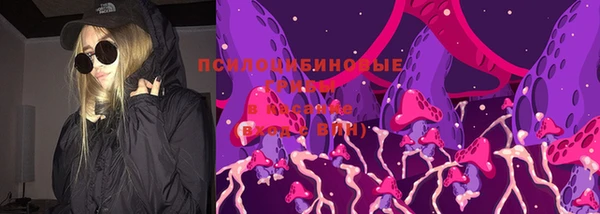 mix Снежногорск