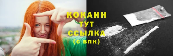 mix Снежногорск