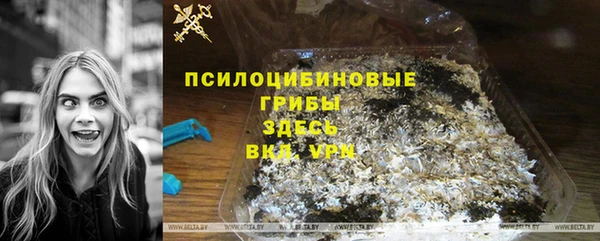 бошки Осинники