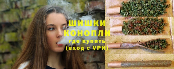 бошки Осинники