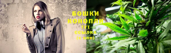бошки Осинники