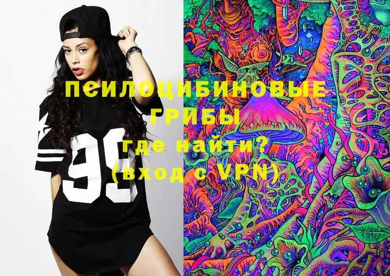 что такое   Абаза  Псилоцибиновые грибы Magic Shrooms 