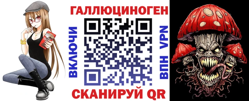Галлюциногенные грибы Psilocybe  где найти   Абаза 