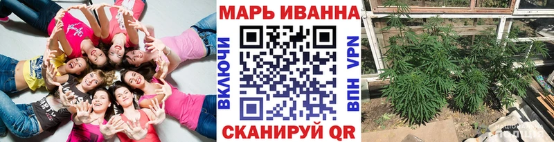 Канабис OG Kush  Абаза 